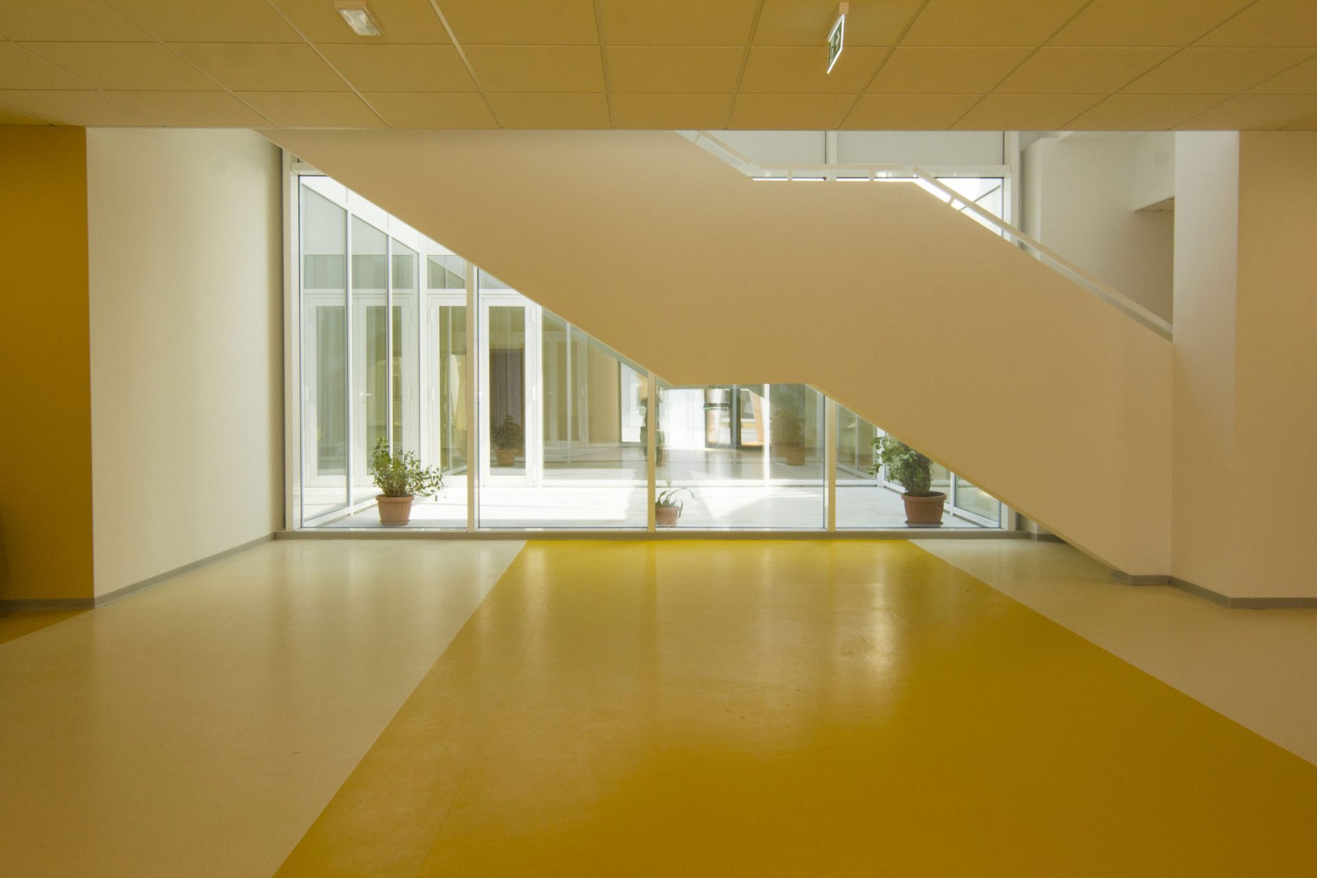Nuovo Polo Scolastico — immagine 3